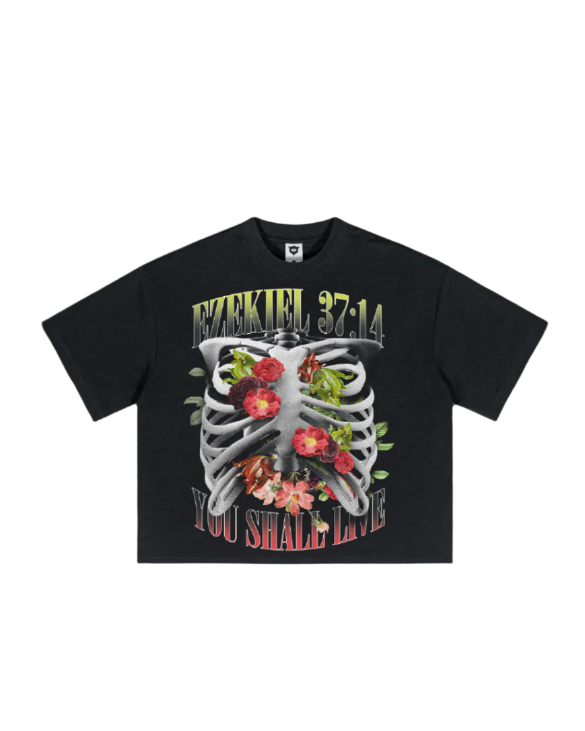 Ezekiel Boxy Cropped Tee
